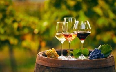 Savor Connecticut’s Wine Country with Elite Limo CT: A Comprehensive Guide to Wine Tasting Tours
